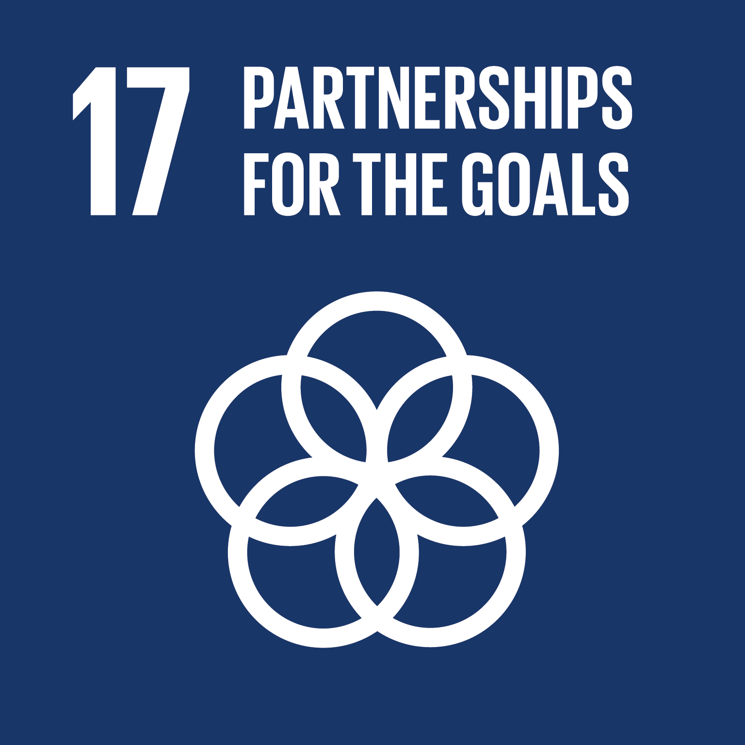 E SDG goals icons individual rgb 17 Building Foundation for Development International I منظمة بناء للتنمية